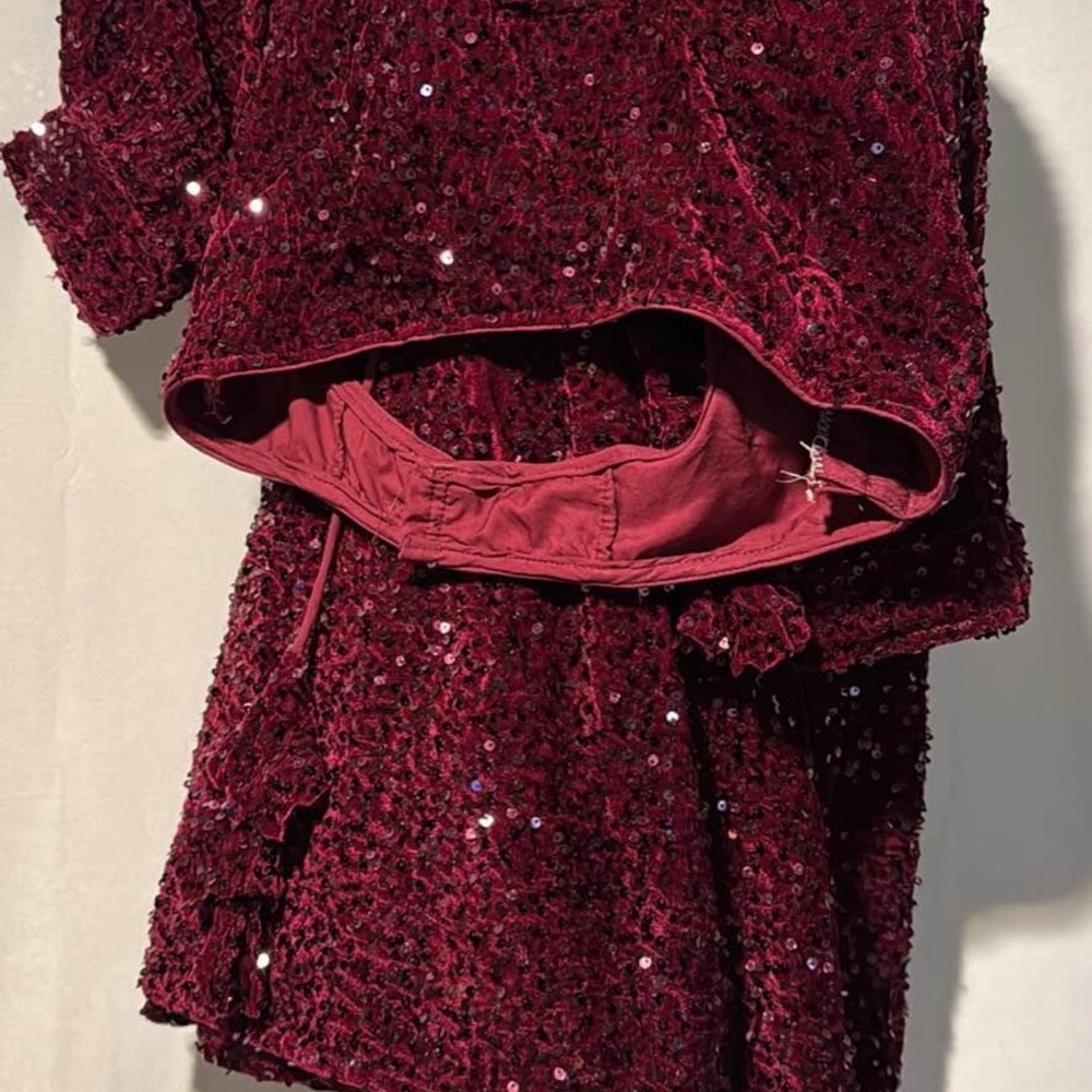 Burgundy Sequin Saree Set
